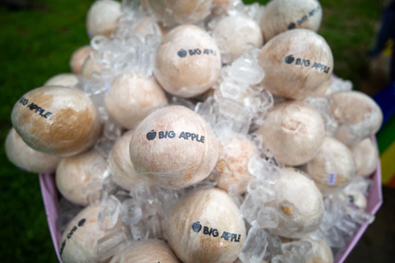Premium polished Pandan coconuts